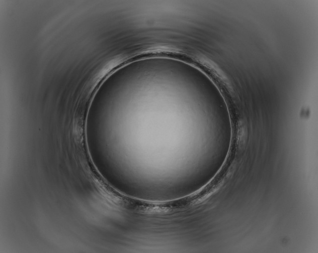 X0000091561321200708241807