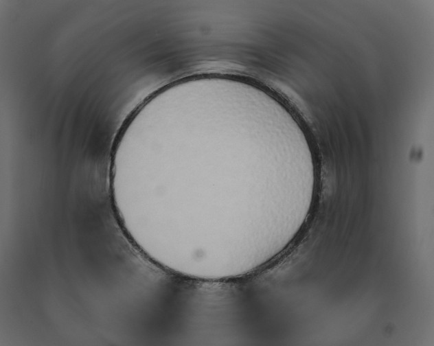 X0000091561322200708241807