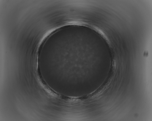 X0000091561323200708241807