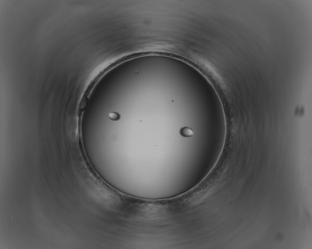 X0000091561324200708241807