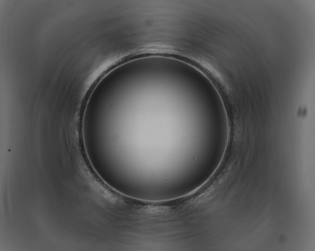 X0000091561325200708241807