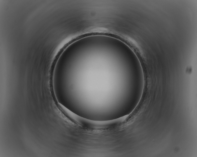 X0000091561326200708241807