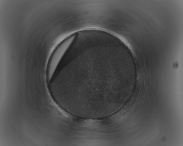 X0000091561327200708241807