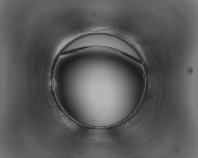 X0000091561328200708241807