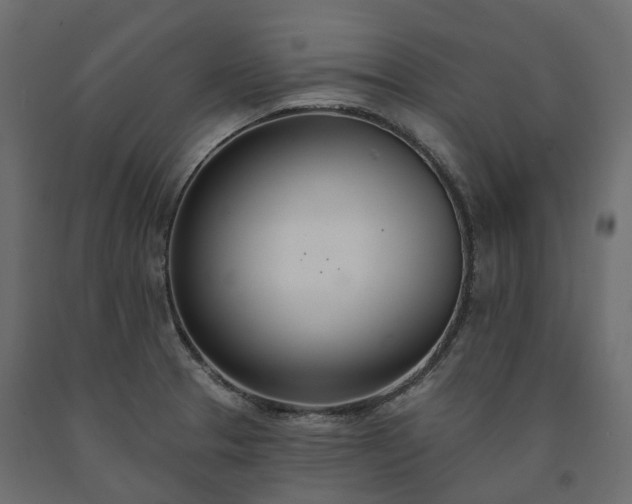 X0000091561329200708241808