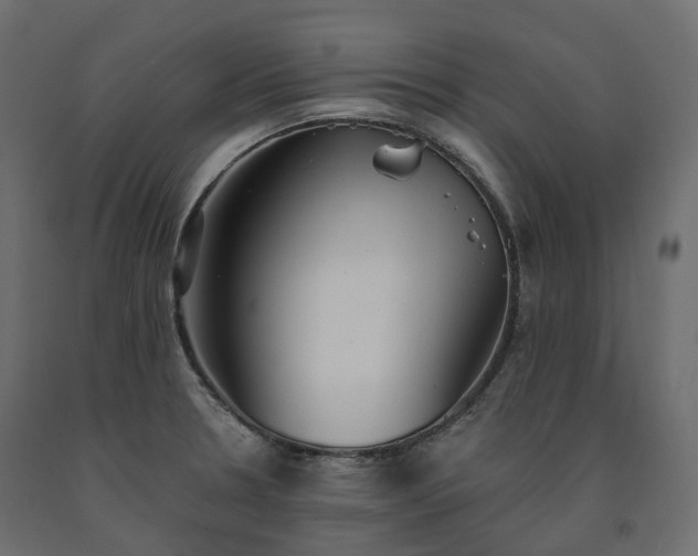 X0000091561330200708241808