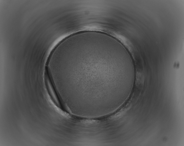 X0000091561331200708241808