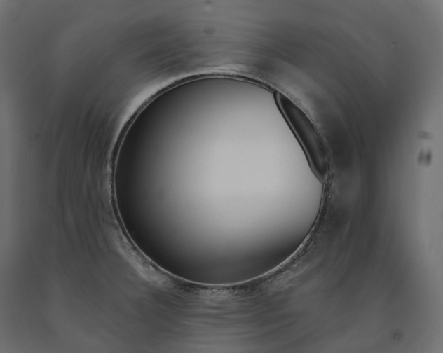 X0000091561332200708241808