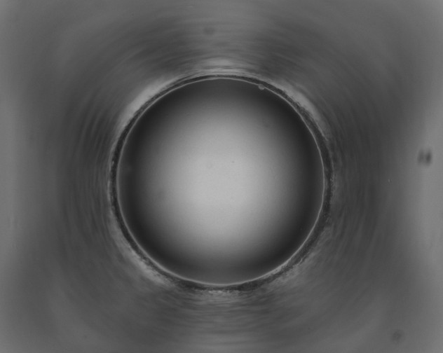 X0000091561333200708241808