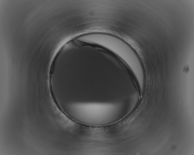 X0000091561334200708241808