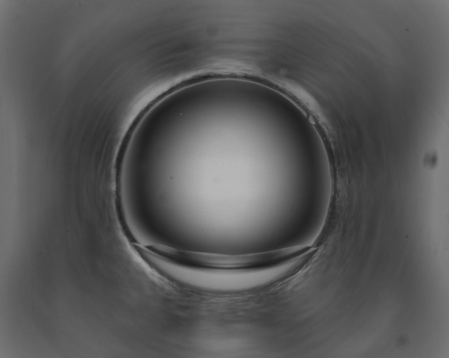 X0000091561335200708241808