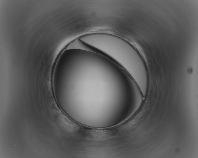 X0000091561336200708241808