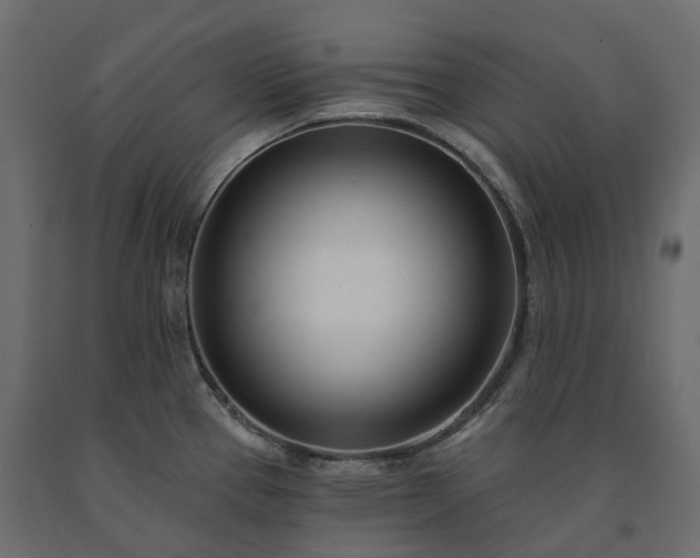 X0000091561337200708241808