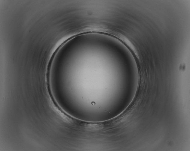 X0000091561339200708241808