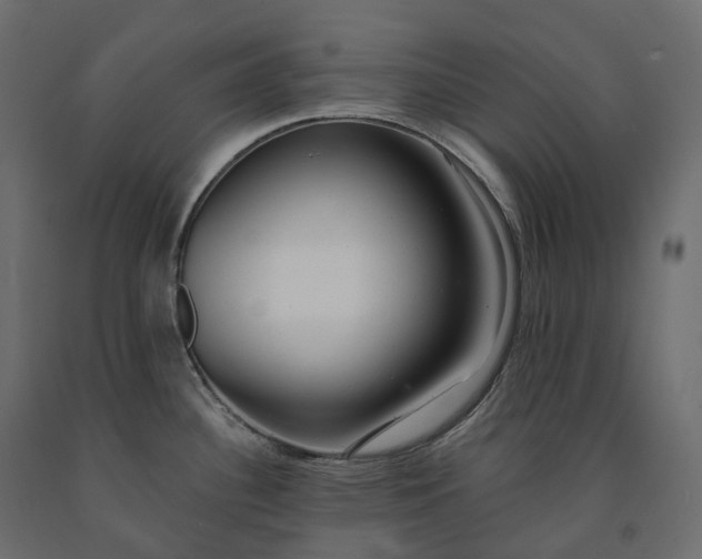 X0000091561340200708241808