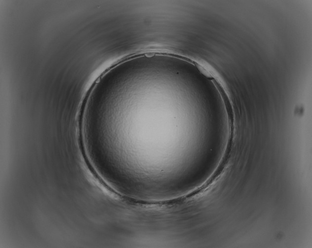 X0000091561341200708241808