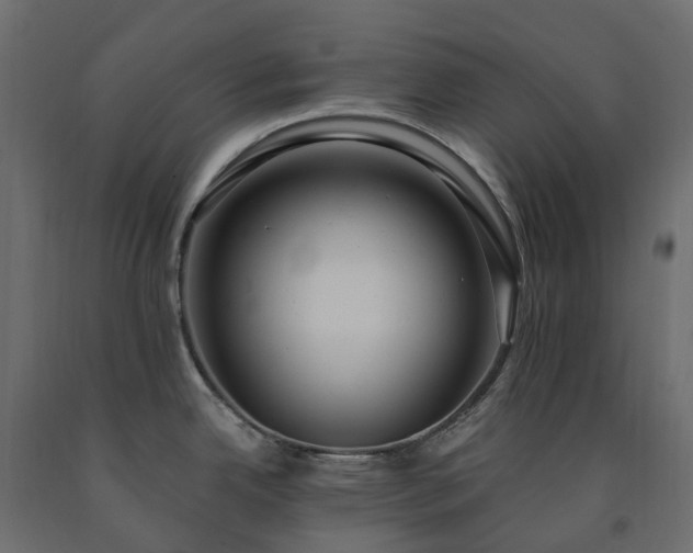 X0000091561342200708241808