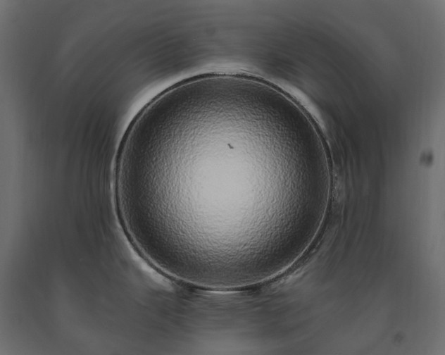 X0000091561343200708241808