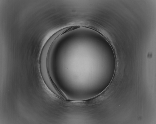 X0000091561344200708241808