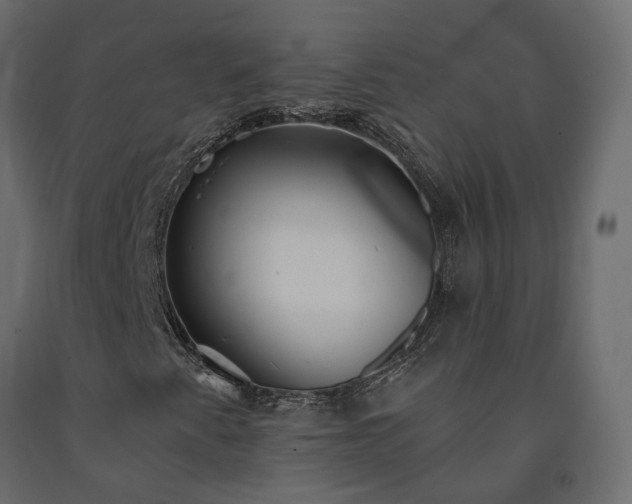 X0000091561345200708241807