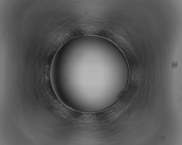 X0000091561346200708241807