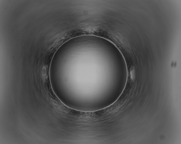 X0000091561347200708241807