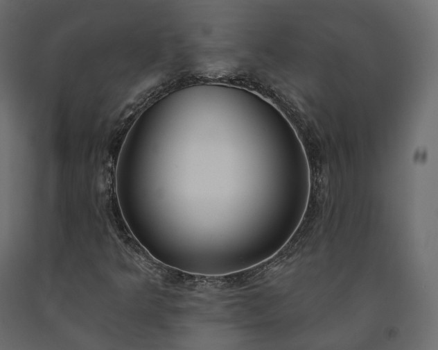 X0000091561349200708241807