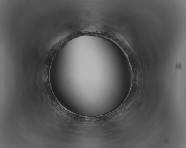 X0000091561350200708241807