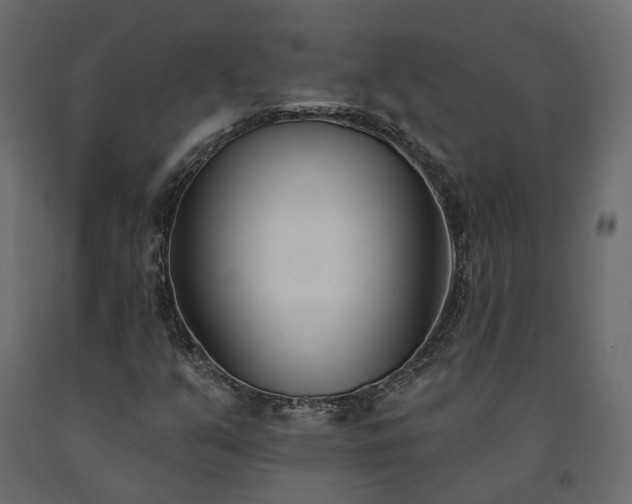 X0000091561351200708241807