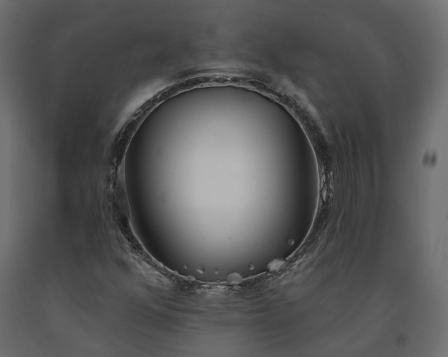 X0000091561352200708241807