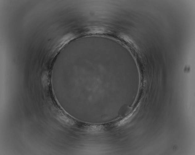 X0000091561353200708241807