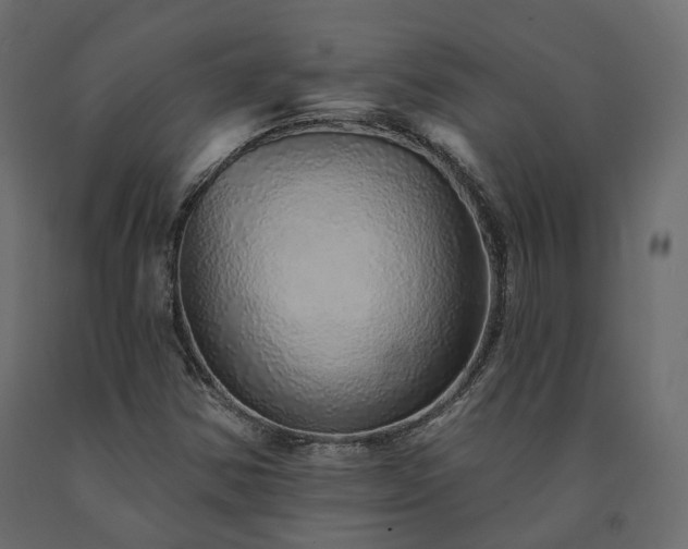 X0000091561354200708241807