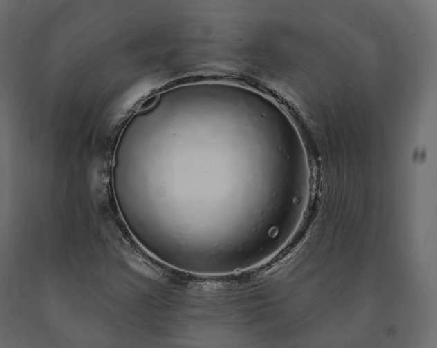 X0000091561355200708241807