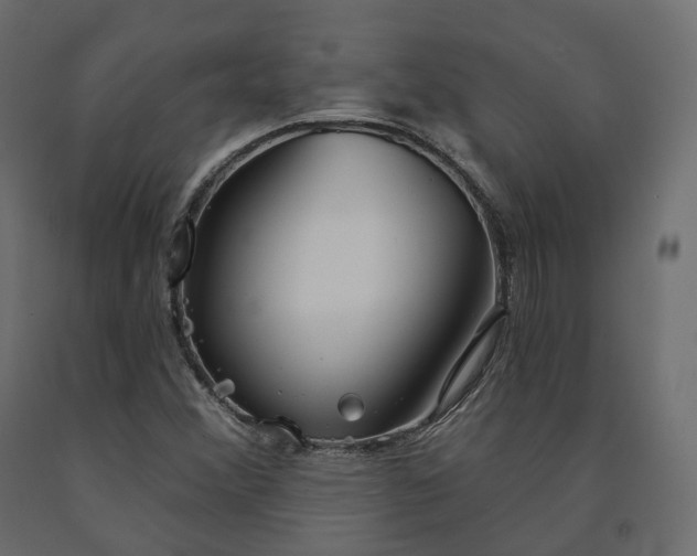 X0000091561356200708241807