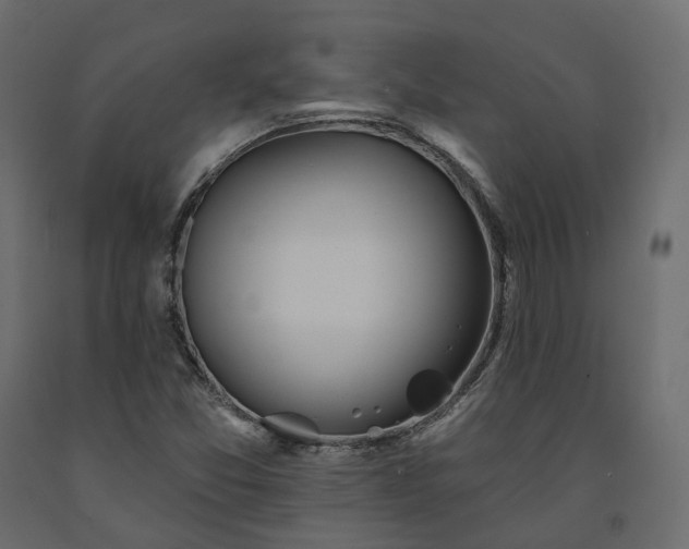 X0000091561357200708241807