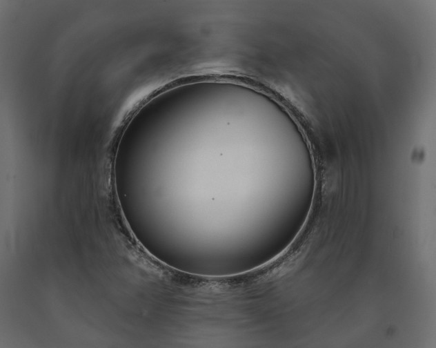 X0000091561358200708241807