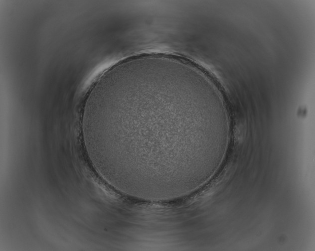 X0000091561359200708241807