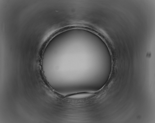 X0000091561360200708241807