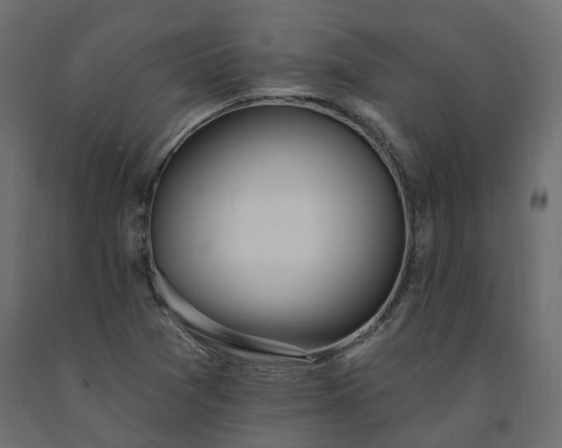 X0000091561361200708241807