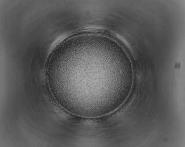 X0000091561362200708241807