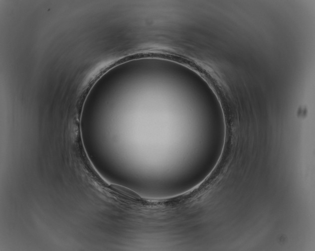 X0000091561363200708241807