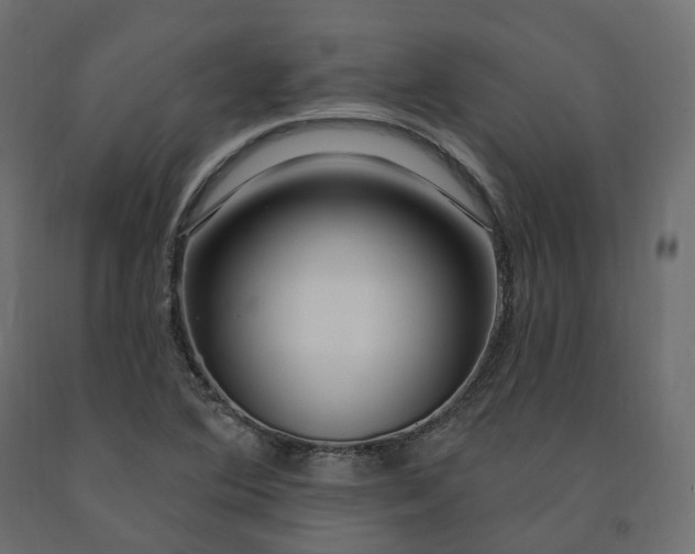 X0000091561364200708241807