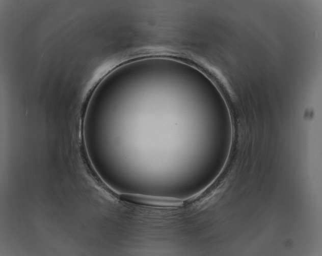 X0000091561365200708241807