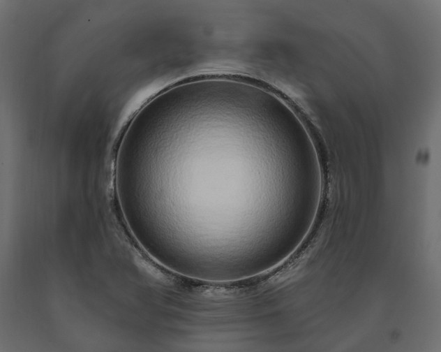 X0000091561366200708241807