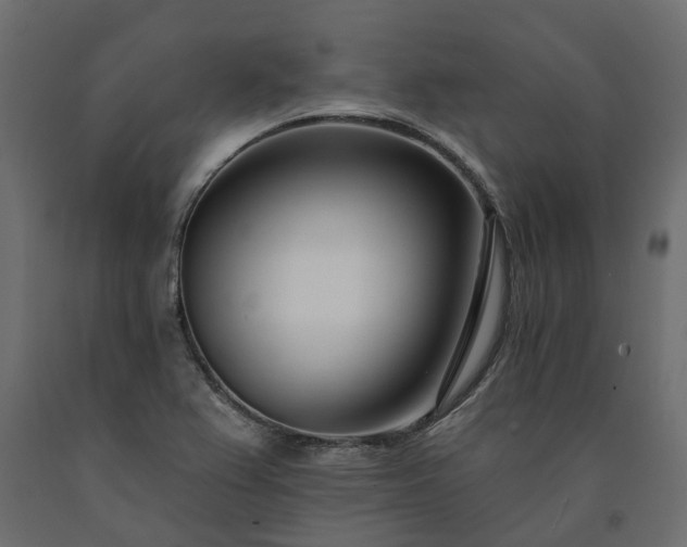 X0000091561367200708241807