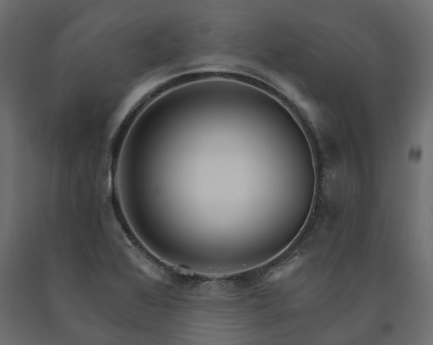 X0000091561368200708241807