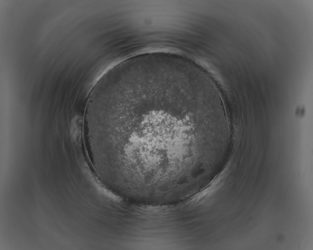 X0000091561369200708241807