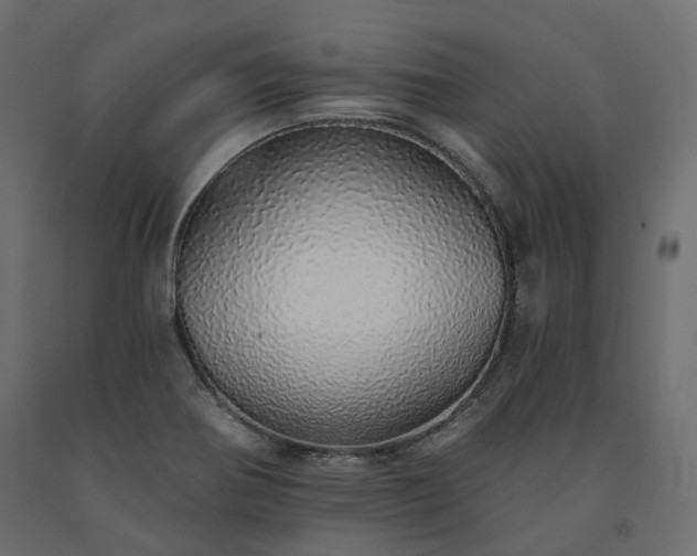 X0000091561370200708241807