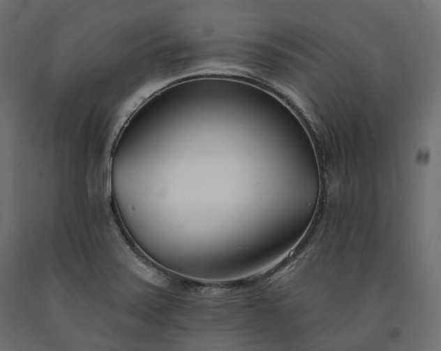 X0000091561371200708241807