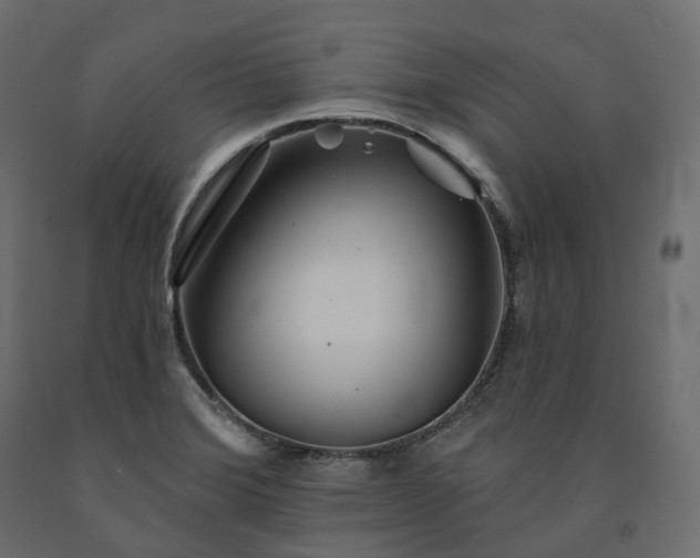 X0000091561372200708241807